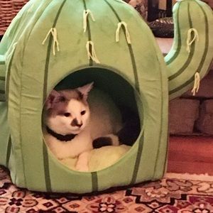 Meet your Posher, Jeanne